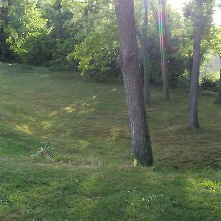 Bed And Breakfast Sile E Natura Sant'Elena di Silea Exterior foto